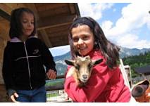 Dorf der Tiere, copyright: Diana Dorf der Tiere