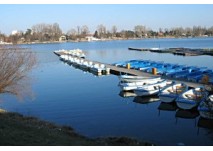 Alte Donau