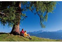 Themenwanderweg Bauernregeln, copyright: Tourismusverband Altenmarkt-Zauchensee Themenwanderweg Bauernregeln Altenmarkt
