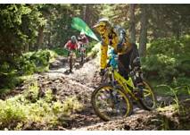 Planai Bike Park (c) Planai-Hochwurzen-Bahnen Gesellschaft m.b.H Planai Bike Park