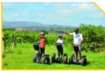 Segway-Touren durch das Sonnenland