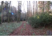 Naturwanderweg Eggelsberg