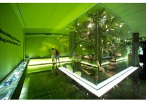 Waldwerkstatt, copyright: Nationalpark Region Ennstal Waldwerkstatt Besucherzentrum