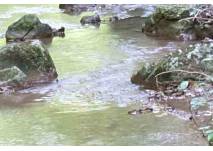 Zwettl Kamp Flusswanderung