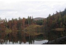 Wanderung zum Eibensee / Fuschl, copyright: Diana Wanderung zum Eibensee / Fuschl