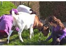 Kindergeburtstag in der Glücksschmiede