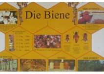 Bienenlehrpfad Göriach, copyright: Diana Bienenlehrpfad Göriach