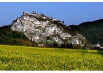 Burg Griffen
