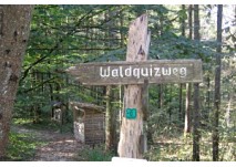 Waldquizweg Großgmain