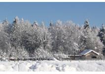 Winterwanderung in Grünau, copyright: Diana Winterwanderung in Grünau