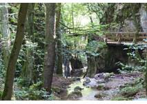 Hagenbachklamm St. Andrä - Wördern (c) PB Hagenbachklamm St. Andrä - Wördern