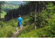 Hirschenkogel Gipfel Rundwanderweg (c) PB Hirschenkogel Gipfel Rundwanderweg