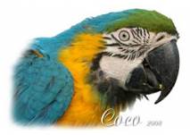 © Hobbyzoo POSCH Hobbyzoo Posch