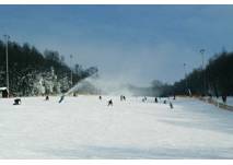 Hohe Wand Schipiste