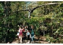 (c) Familienpark Hubhof Familienpark Hubhof