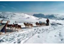 (c) Huskyranch Waldviertel Huskyranch Waldviertel