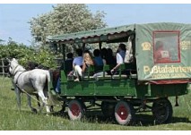 Vinzenzhof Gangl in Illmitz: Pferdewagen- u. Kutschenfahrten