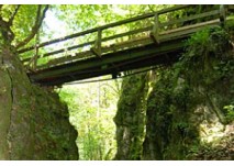 Johannesbachklamm (c) Gemeinde Würflach Johannesbachklamm