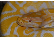 Reptilienzoo Happ