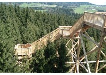 Kopfing Baumkronenweg Kindergeburtstag