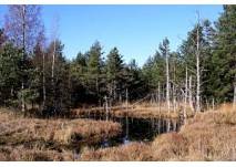 Koppler Moor Wanderung
