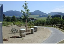 Baumlehr-Gehweg in Lasberg