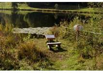 Libellenweg (c) NaturErlebnisZentrum Alpengarten Bad Aussee Libellenweg
