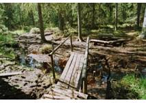Tannermoor, copyright: Marktgemeinde Liebenau Führung durch das Tannermoor