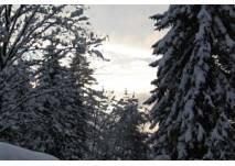 Winterwanderung in Liebenau