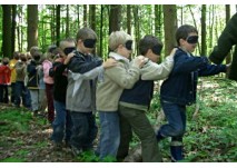 Waldschule Linz