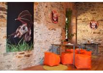 Burgerlebnis: Fledermaus in Lockenhaus