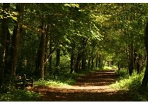Murecker Auerlebnisweg (c) Stadtgemeinde Mureck Murecker Auerlebnisweg