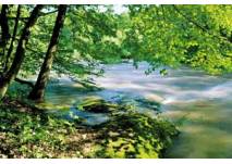 Nationalpark Thayatal