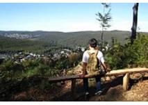 Naturpark Purkersdorf Sandstein Wienerwald