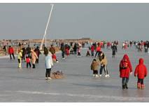 Eislaufen am Neusiedler See
