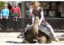 Reptilienzoo Happ