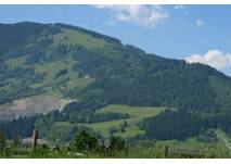 Naturlehrpfad Steinalm, copyright: Diana Naturlehrpfad Steinalm