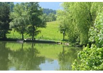 Saalfelden Ritzensee Saalfelden Ritzensee