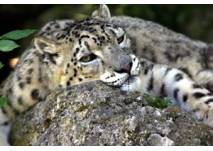 Kindergeburtstag im Zoo Salzburg, copyright: Zoo Salzburg Kindergeburtstag im Zoo Salzburg