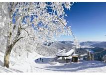 Salamander Skigebiet