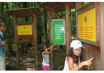 Seeham Naturerlebnisweg Teufelsgraben
