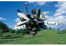 Skulpturenpark