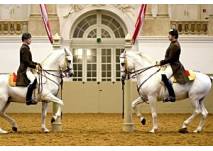 Spanische Hofreitschule