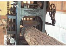 (c) Stadtmuseum Traiskirchen Stadtmuseum Traiskirchen