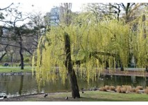 Spielplatz im Stadtpark (c) Petra Spielplatz im Stadtpark