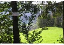 Stanzer Sonnenweg