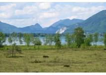 Strobl Blinklingmoos, copyright: Diana Strobl Wolfgangsee Blinklingmoos