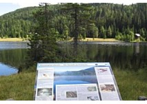 Moorlehrweg am Prebersee, copyright: Diana Moorlehrweg am Prebersee