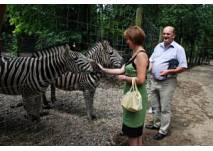 (c) Tierpark der Stadtgemeinde Haag Tierpark der Stadtgemeinde Haag