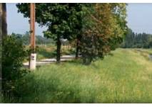 Erlebnisweg "Lebenswart" in Unterwart (c) Gemeinde Unterwart Erlebnisweg "Lebenswart" in Unterwart